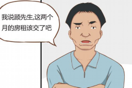 马上金融2020上门催收：揭秘金融借贷行业的新趋势